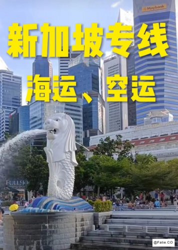 新加坡专线物流✨空海双清包税 跨境发货超稳