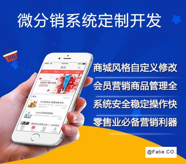 广州东莞二级分销商城开发 APP小程序定制