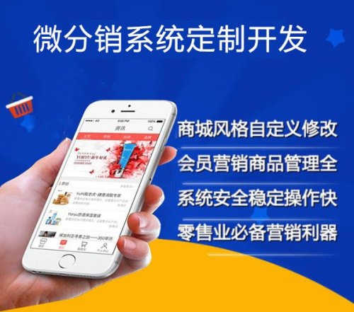 广州东莞二级分销商城开发 APP小程序定制