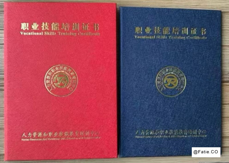 深圳金牌月嫂 保姆育婴催乳一站式家政服务