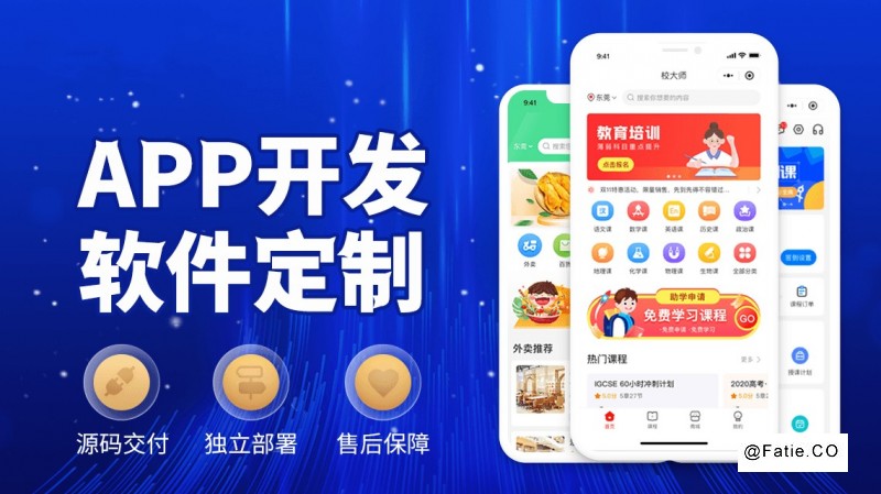 宁波软件开发外包 网站建设 推广获客系统开发