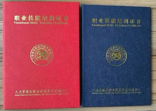 深圳金牌月嫂 保姆育婴催乳一站式家政服务