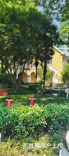 上海宋园路虹桥路附近诚聘钟点工阿姨